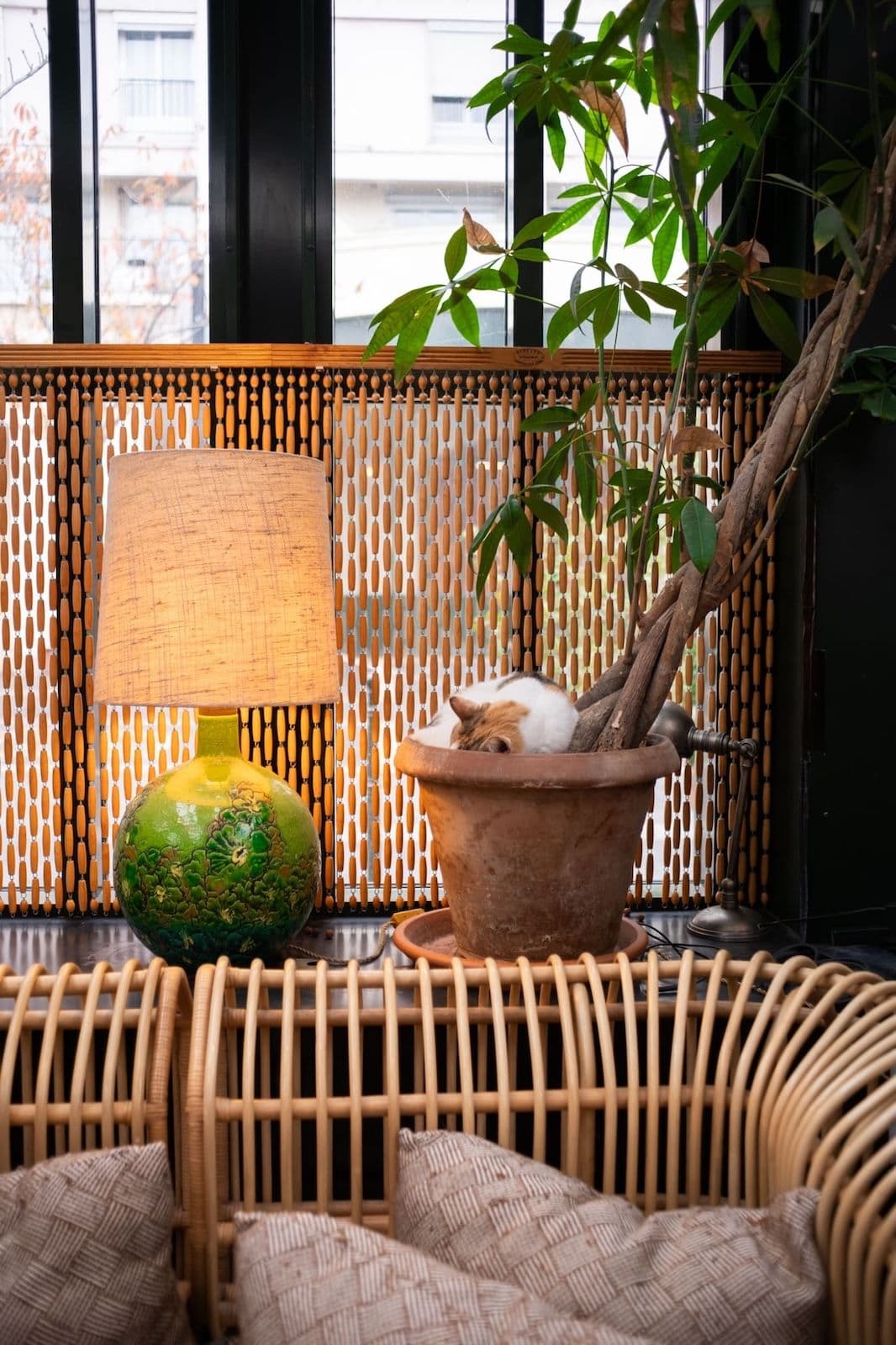 Gallery thumbnail 13