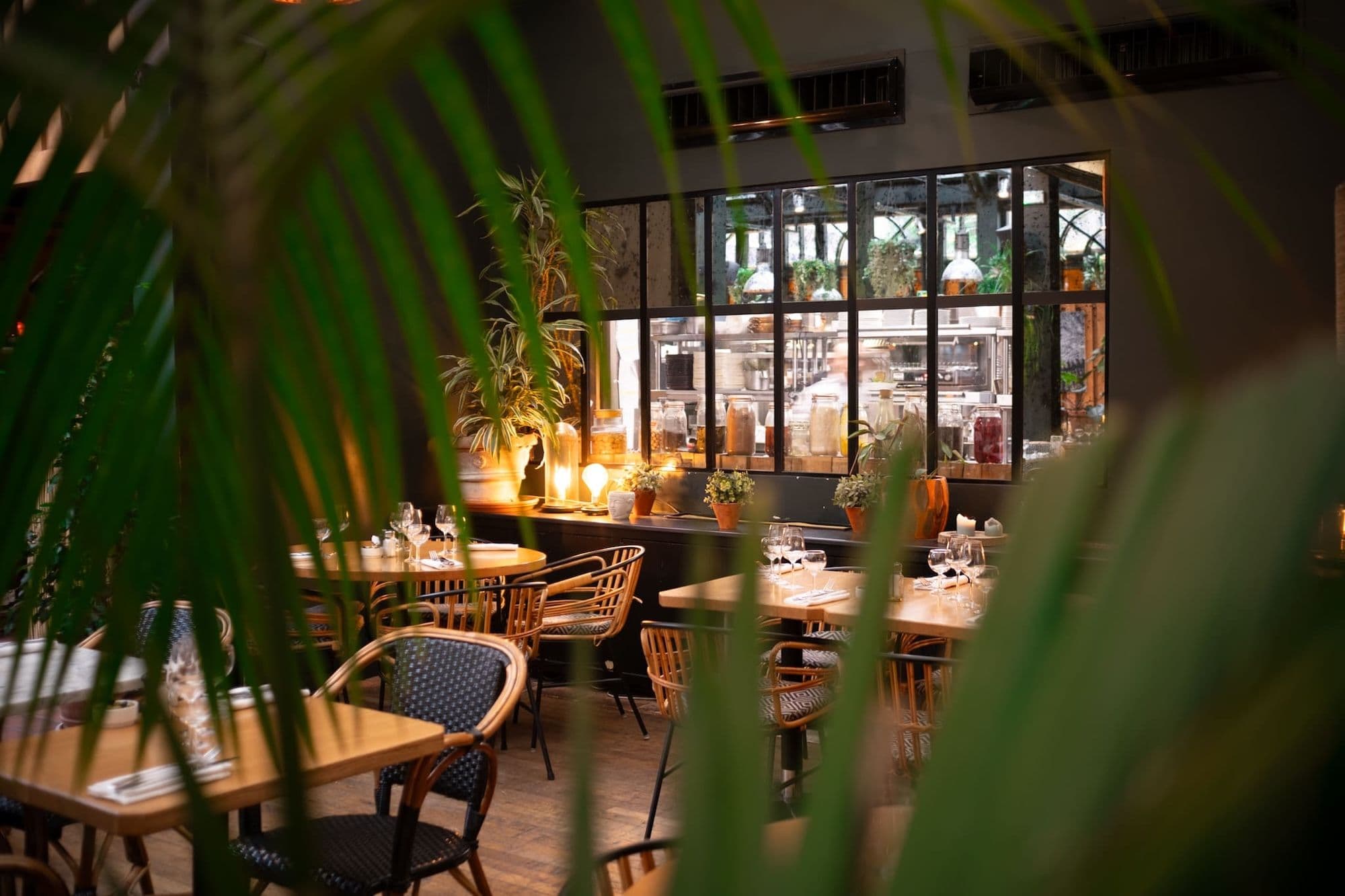 Gallery thumbnail 12