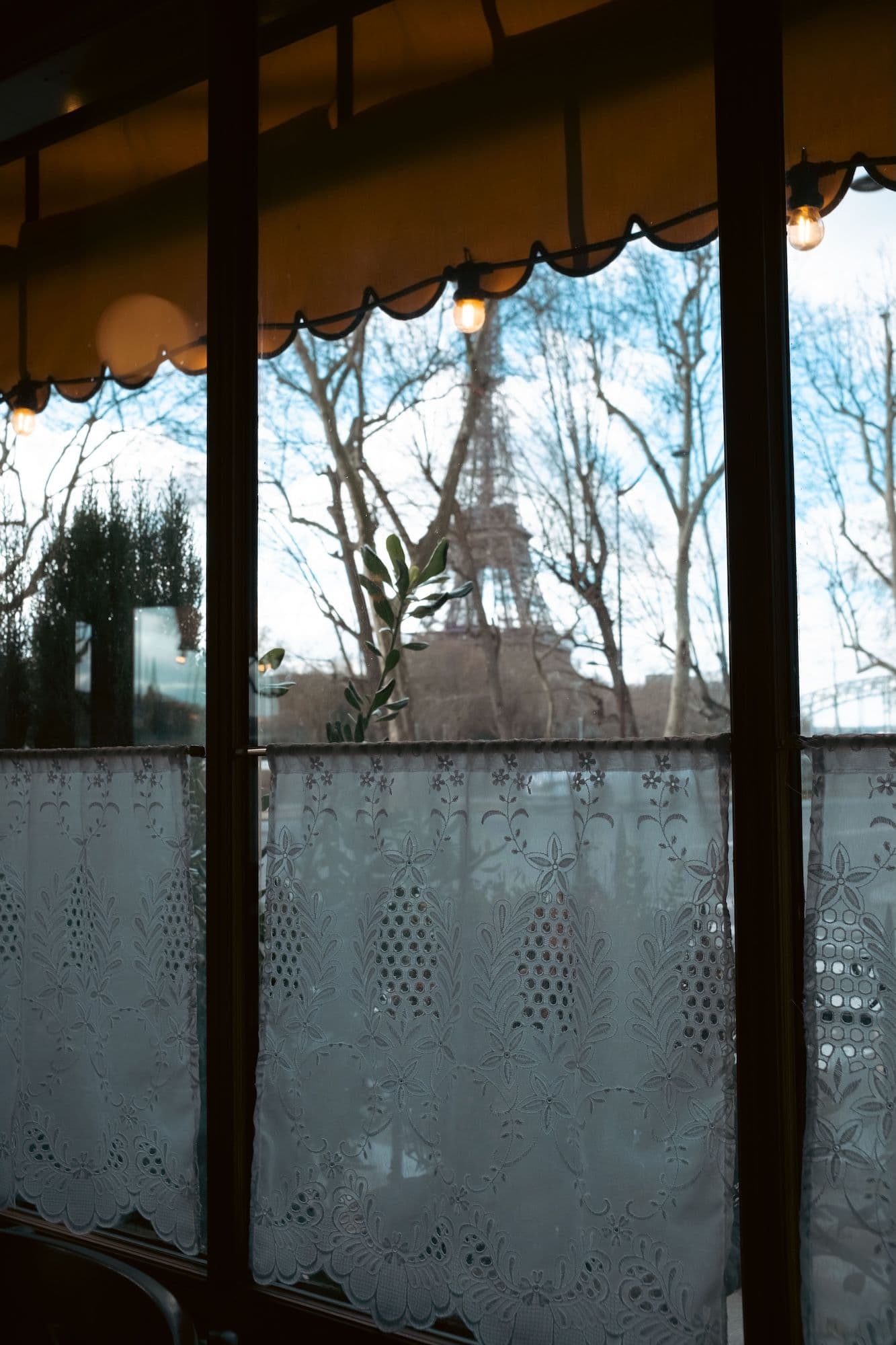 Gallery thumbnail 15